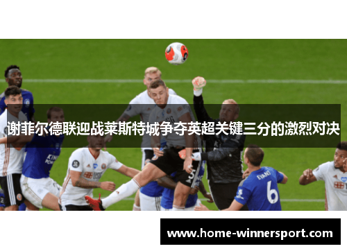 谢菲尔德联迎战莱斯特城争夺英超关键三分的激烈对决